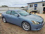 Maxima 2011
