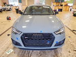 Audi RS4 2019