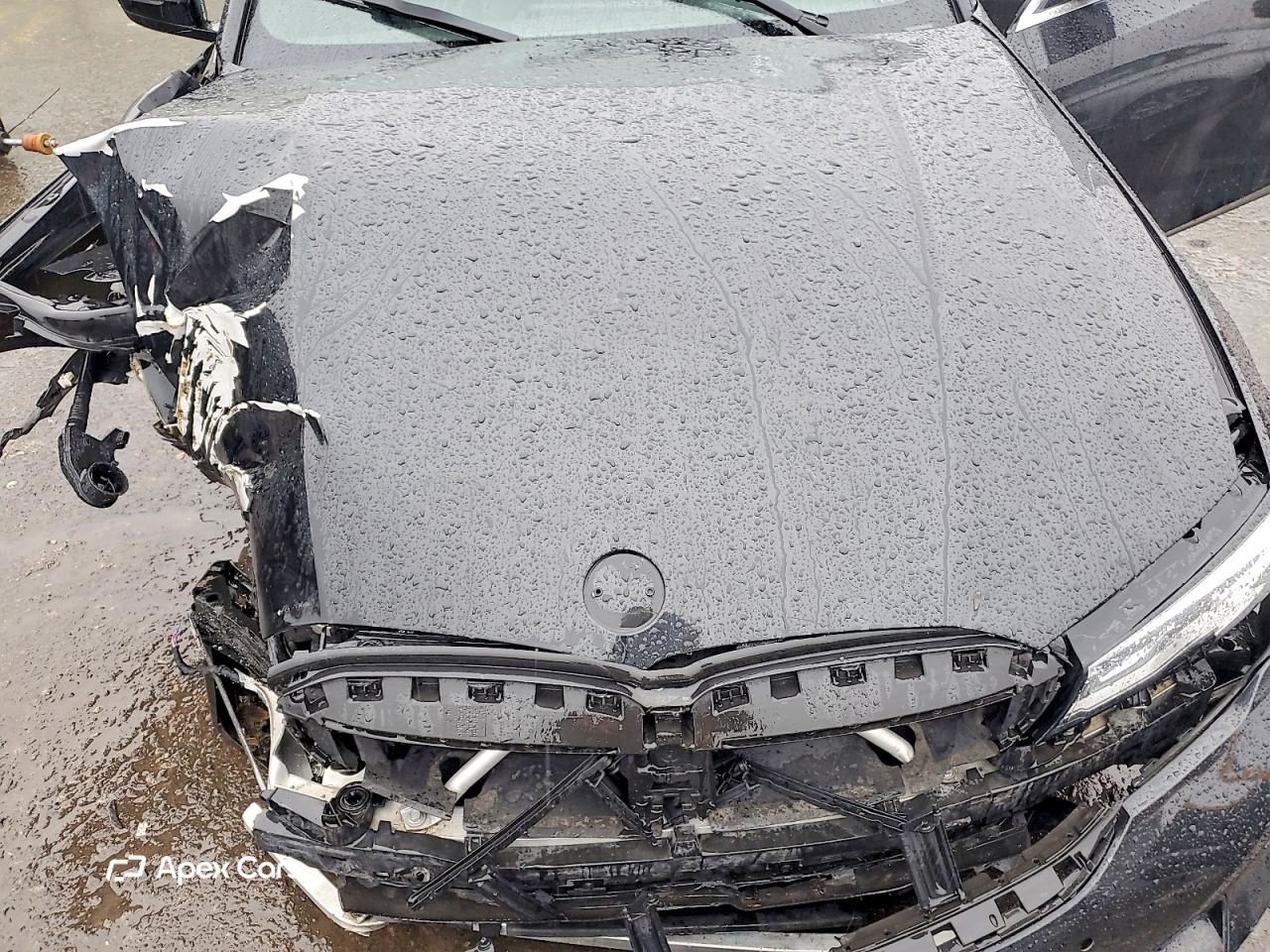 BMW Series 3 2019