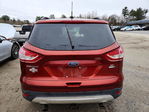 Ford Escape 2014