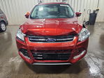 Ford Escape 2014