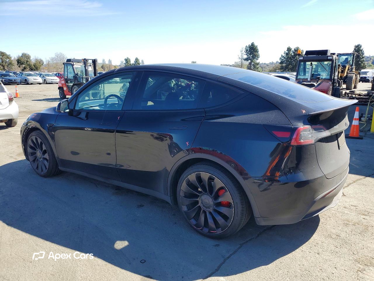 Tesla Model Y 2021