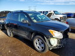 Toyota RAV 4 2010