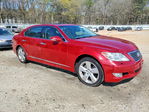 Lexus LS 2010