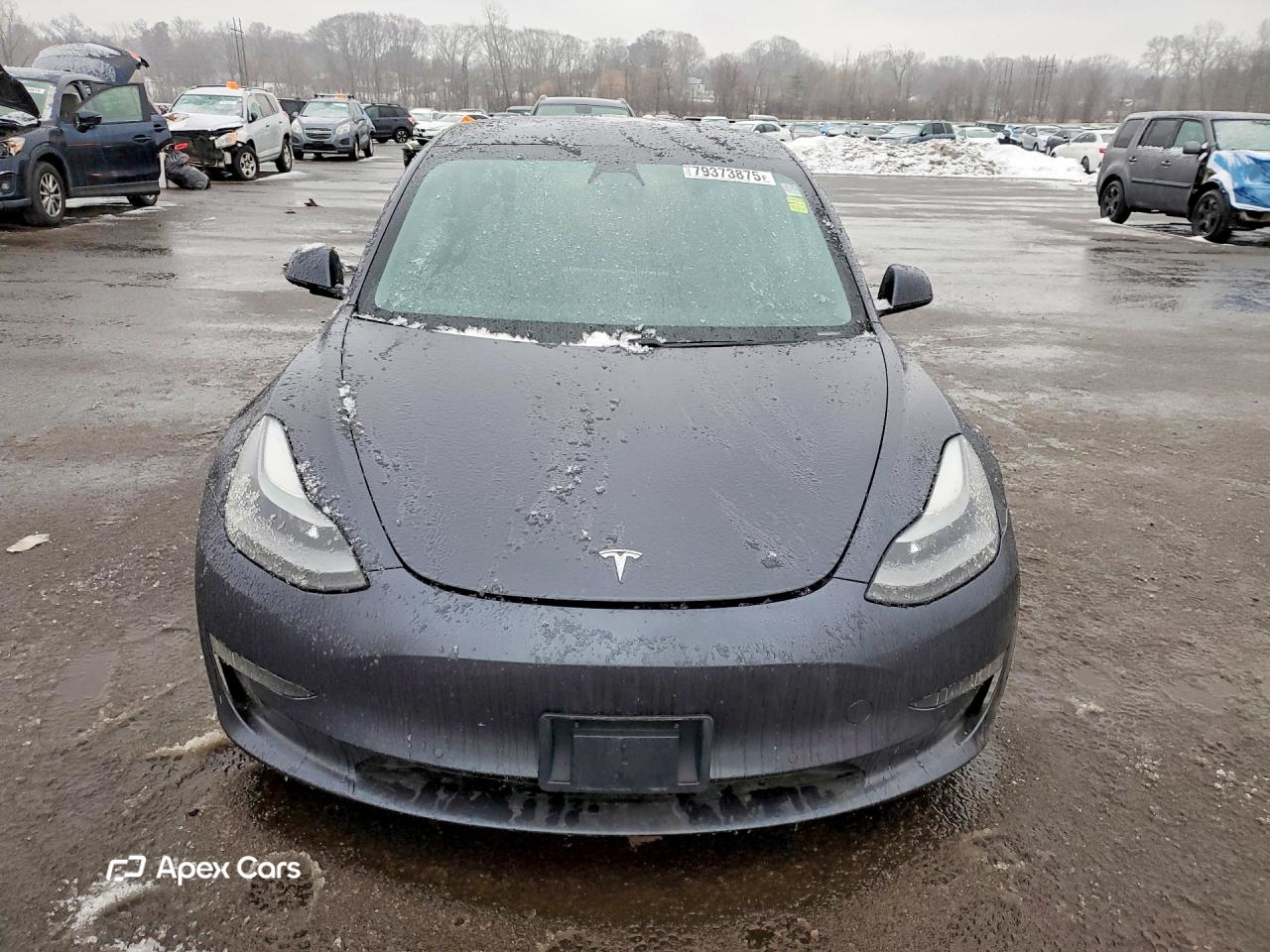 Tesla Model 3 2021