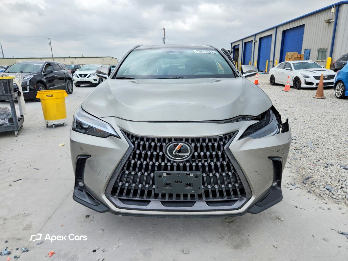Lexus NX 2024