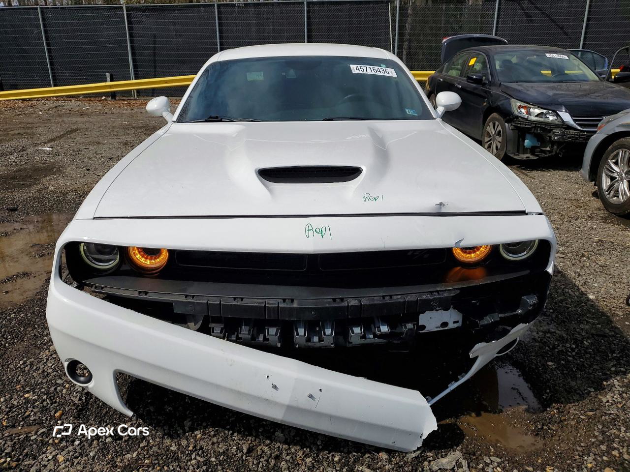 Dodge Challenger 2019