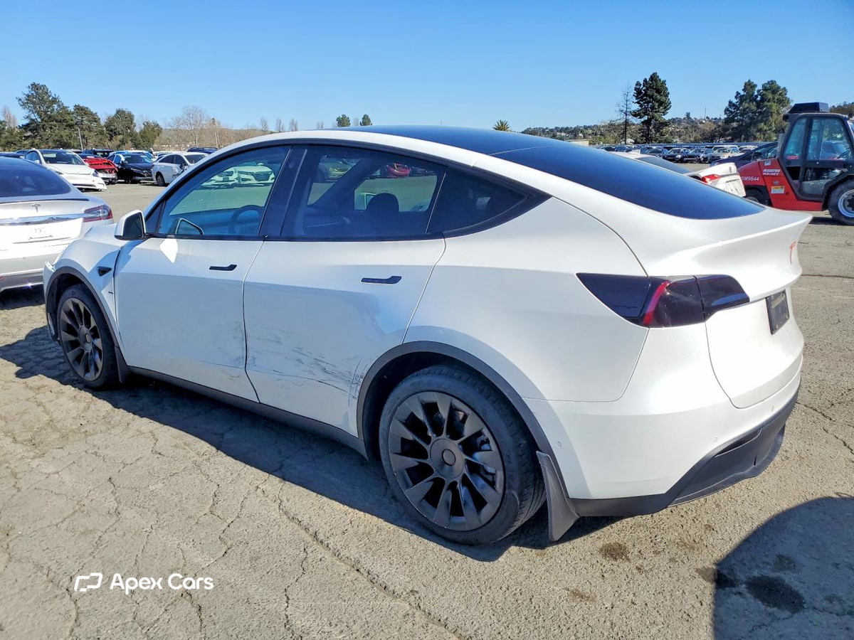 Tesla Model Y 2021