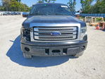 Ford F-150 2013