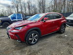 Lexus NX 2020