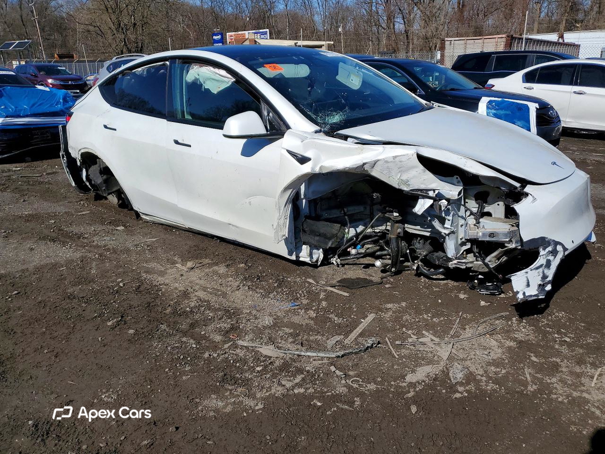 Tesla Model Y 2020