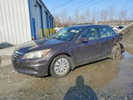 Honda Accord 2011