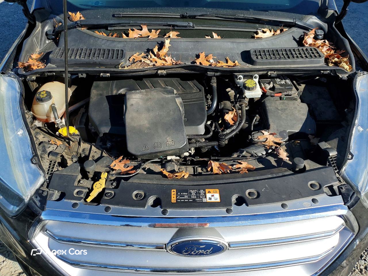 Ford Escape 2017