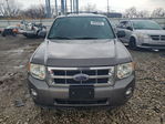 Ford Escape 2009