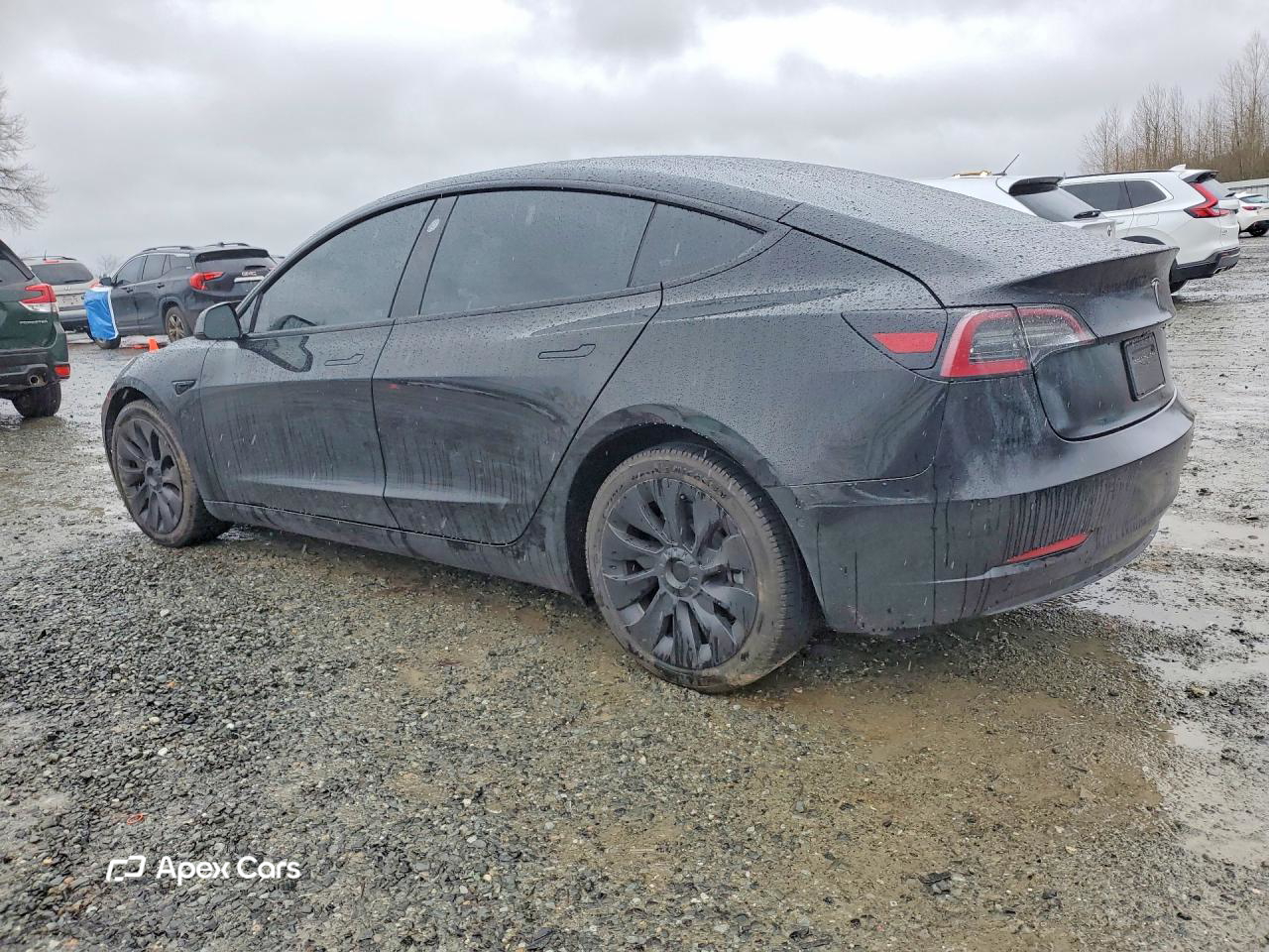 Tesla Model 3 2021