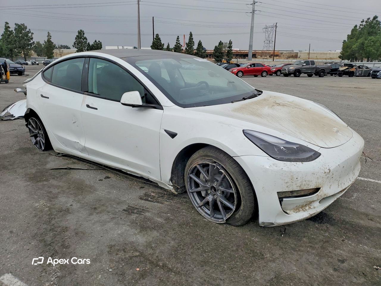 Tesla Model 3 2023