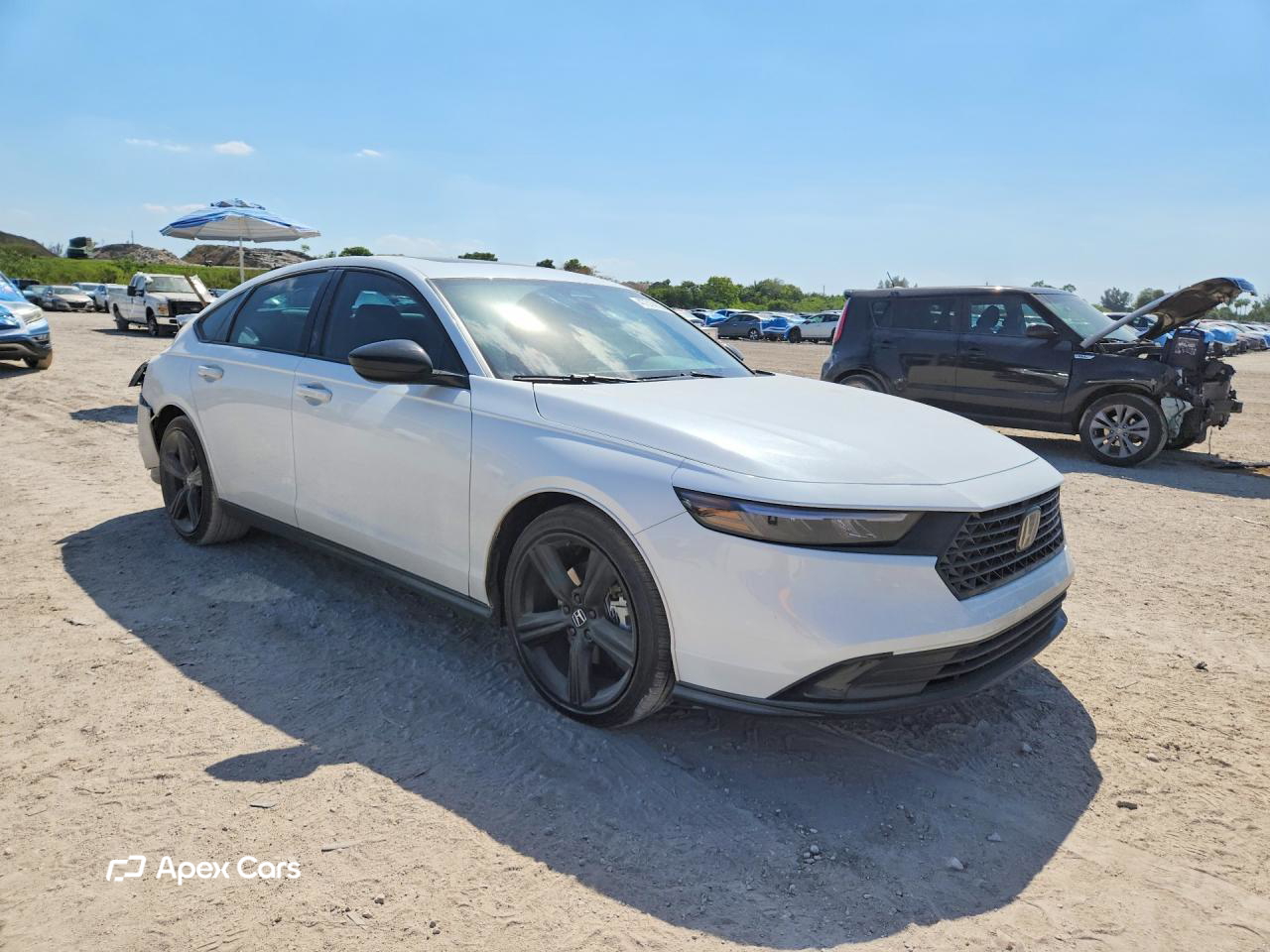 Honda Accord 2025