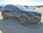 Lexus NX 2020