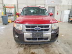 Ford Escape 2011