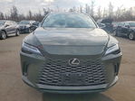 Lexus RX 2025