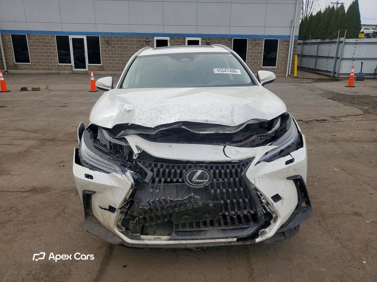 Lexus NX 2023
