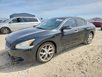 Nissan Maxima 2010