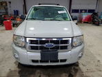 Ford Escape 2008