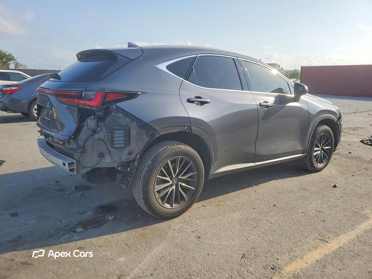 Lexus NX 2024