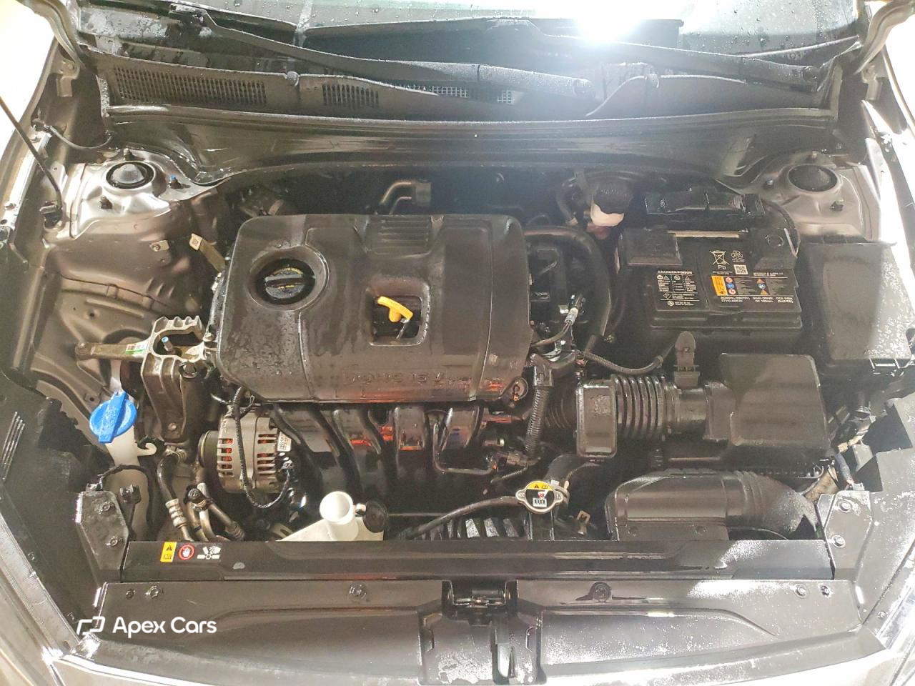 Kia Forte 2024