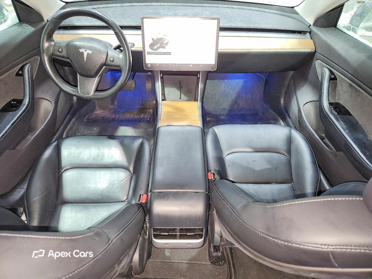 Tesla Model 3 2019