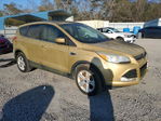 Ford Escape 2014
