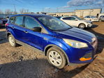 Ford Escape 2014