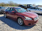 Nissan Maxima 2012