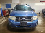 Ford Escape 2009