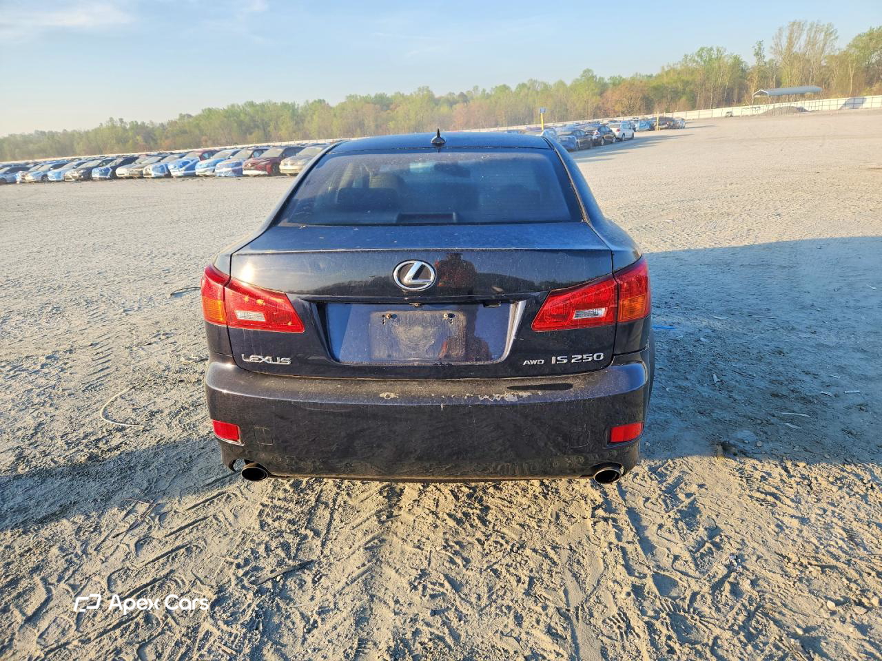 Lexus IS 2007