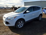 Ford Escape 2013