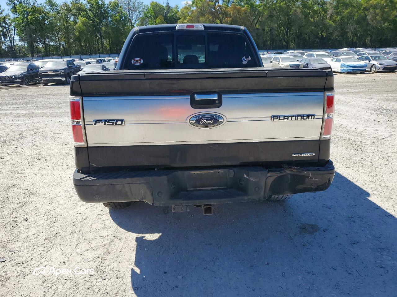 Ford F-150 2013
