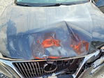 Lexus RX 2010