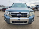 Ford Escape 2010