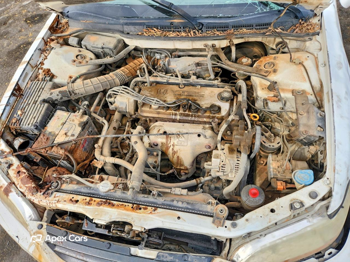 Honda Accord 2000