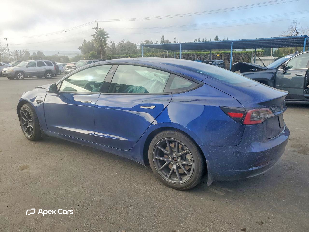 Tesla Model 3 2021