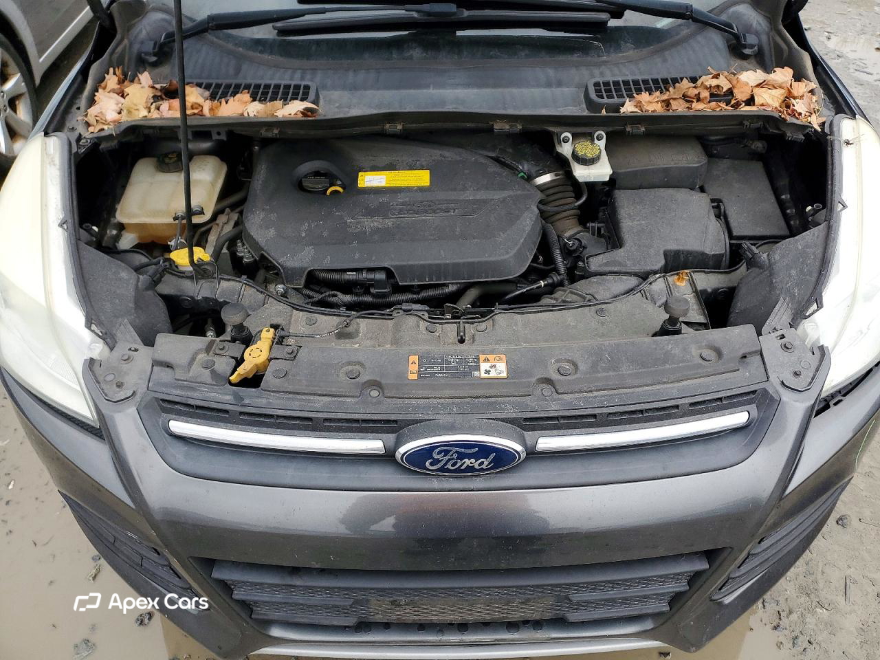 Ford Escape 2016