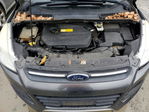 Ford Escape 2016