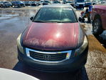 Honda Accord 2010