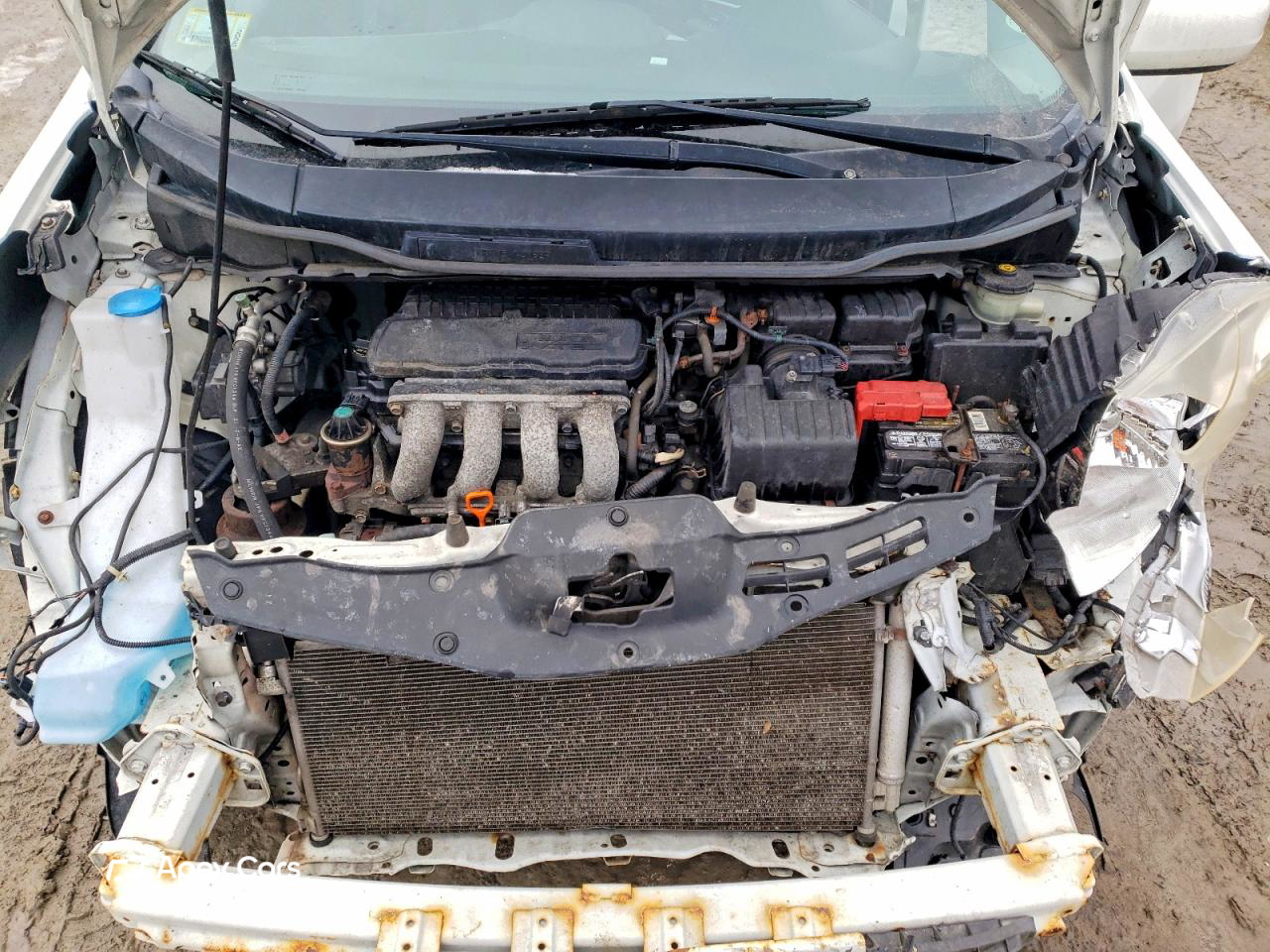 Honda Fit 2010
