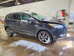 Ford Escape 2016