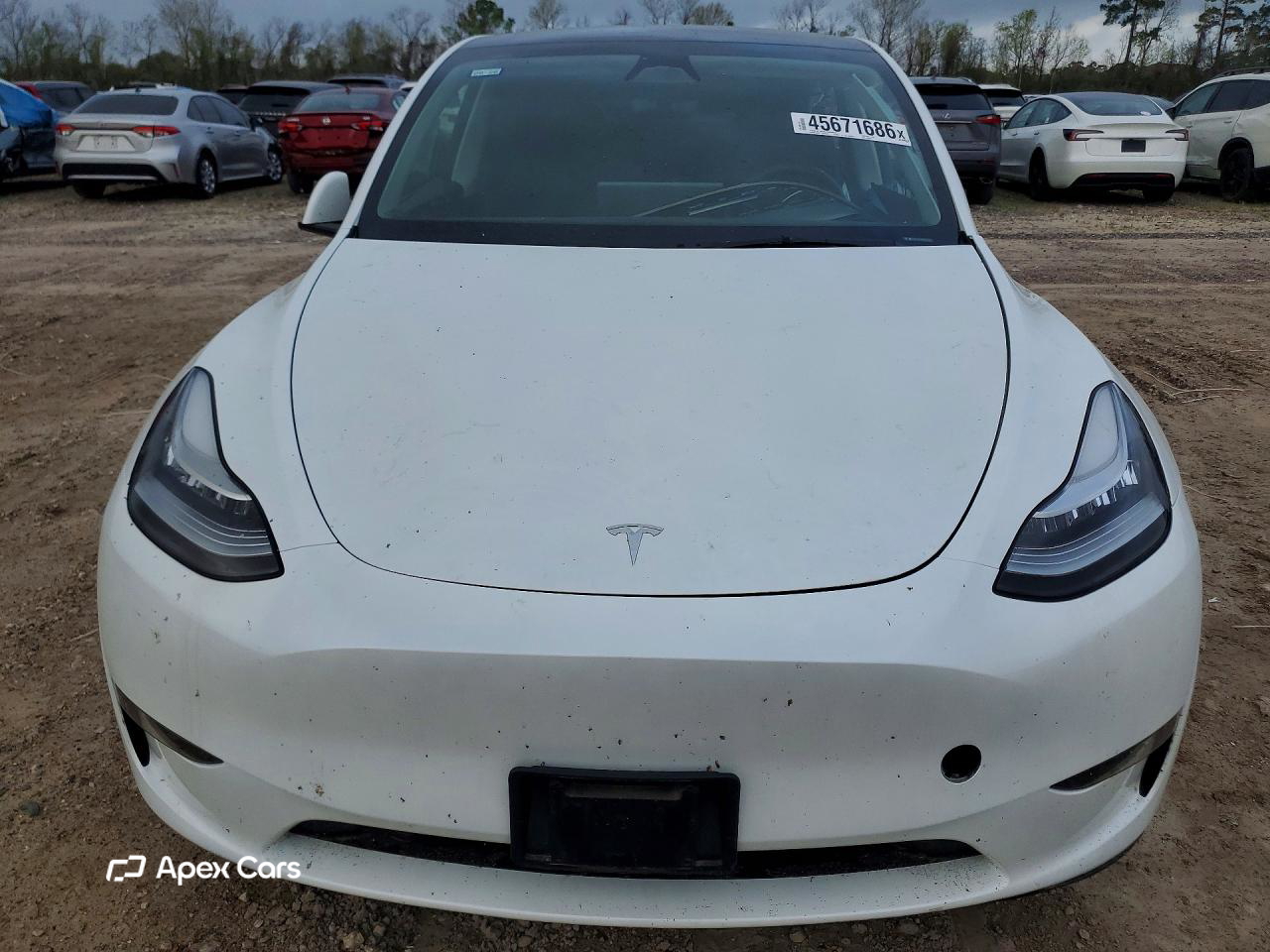 Tesla Model Y 2023