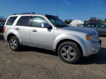Ford Escape 2011
