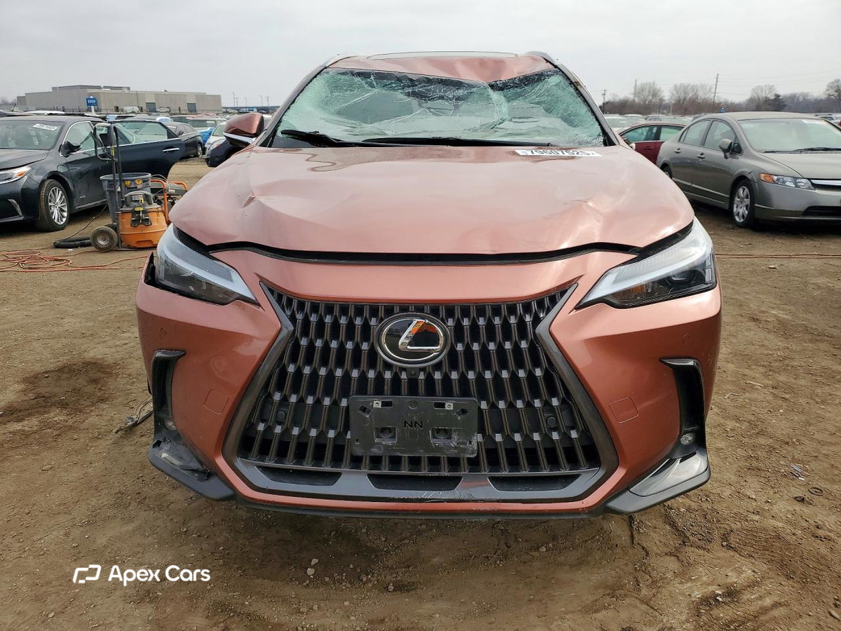 Lexus NX 2025
