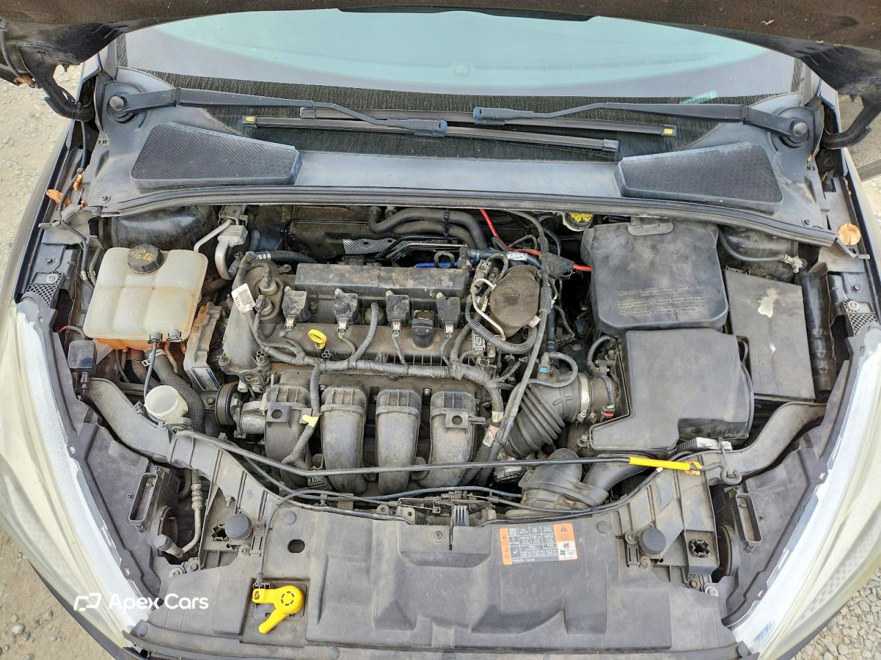 Ford Focus 2015